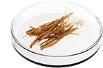 Panax Ginseng Root Extract in Spartan Root Activator Shampoo